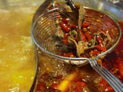 -皇牛鲜生·牛爱牛鲜牛肉自选火锅(晋吉北路店)