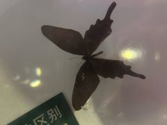 -陕西自然博物馆