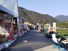 -龙坞茶村