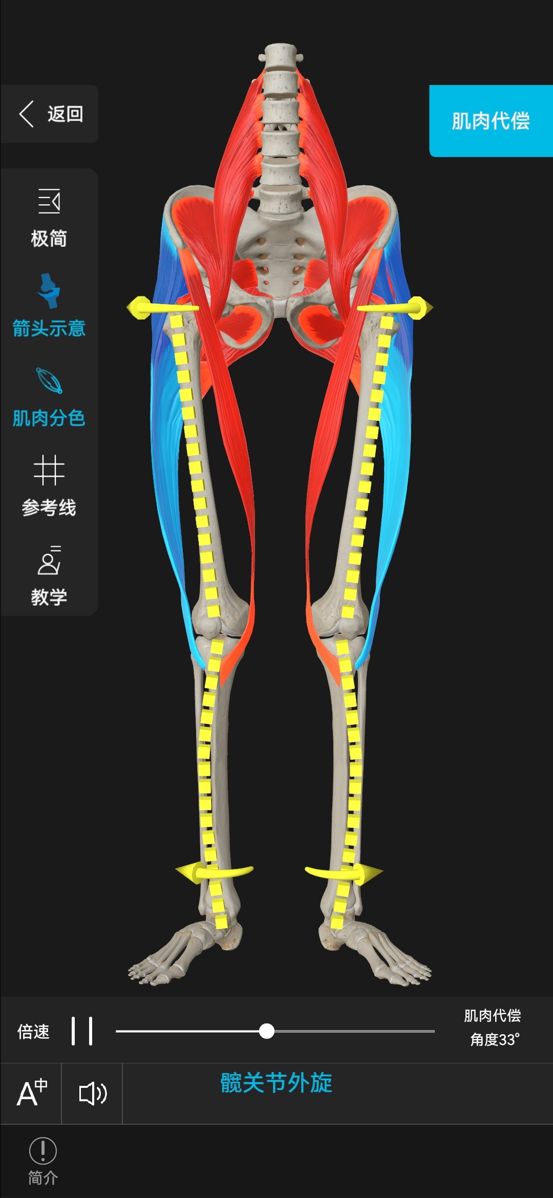 伸髋内外旋图片