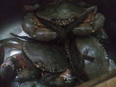 -龙海鲜螃蟹王(宏茂桥店)