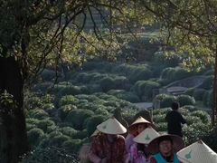 -泽明社