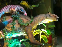 点击看大图 -恐龙探索乐园(磁器口店)