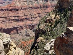 -科罗拉多大峡谷