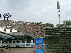 -紫颐香薰山谷景区