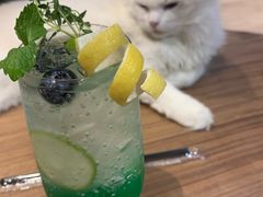 绿薄荷苏打-瞄一喵猫咖(格力海岸店)