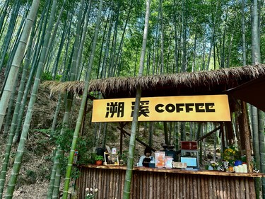 🍃南山竹海🎋