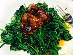 -绿波廊七号(豫园新路店)