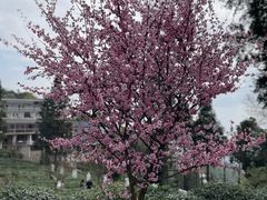 -魔指传奇足疗保健SPA(牛市口店)