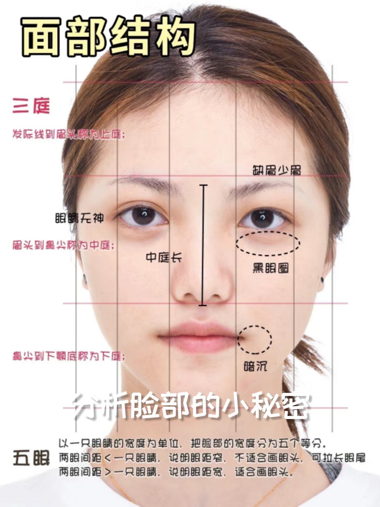 分析脸部的小秘密