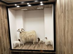 景观位-清真·益鑫羊肉手抓馆(花园北街店)