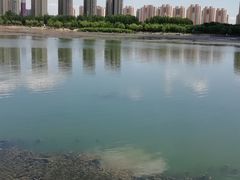 -丁香湖公园