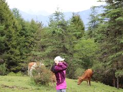 -硗碛藏寨·神木垒景区