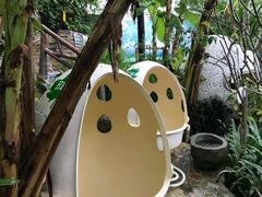 -100蛋泥浆浴