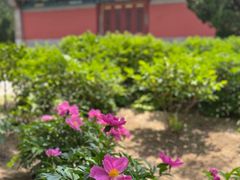 -大钟寺古钟博物馆