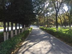 -东北大学(南湖校区)