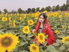 -映月湖中央公园