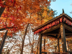 -光雾山旅游景区