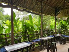 -大象粑粑造纸公园