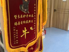 -博特宠物医院24h犬猫全科.骨科·异宠