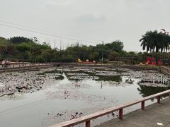-广州莲花山旅游区