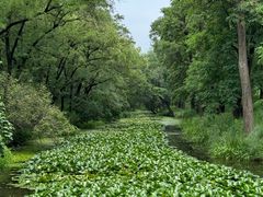 -承德避暑山庄景区