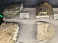 -湖南省地质博物馆