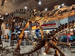 -国家自然博物馆