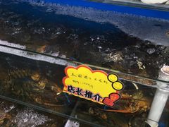 -蚝专家(北滘店)