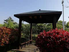 -紫薇公园