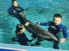 -台州海洋世界
