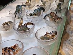 -半岛翡丽海鲜自助餐厅(观风亭店)