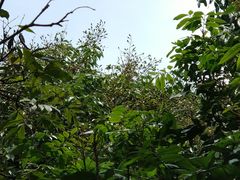 -鹤之洲湿地公园