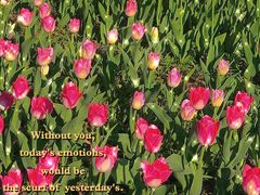 -长春公园(普阳街道)