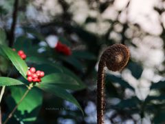 -赤水丹霞旅游区·大瀑布