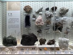 -浙江自然博物院(杭州馆)
