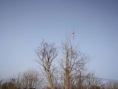 -白鹭湾湿地公园