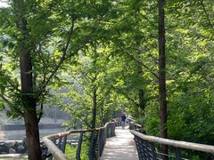 -白水寺森林公园