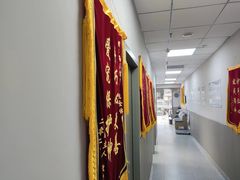 -嘉美宠物医院