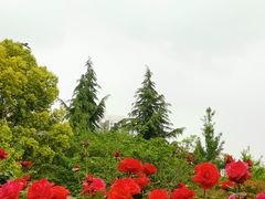 -堤角公园