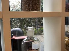 -MAMACHA妈妈茶(岳麓山店)