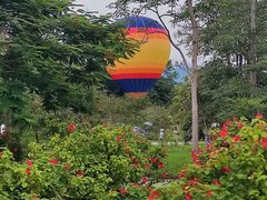 -中国科学院西双版纳热带植物园