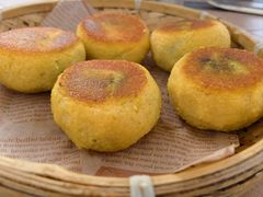 -金子小院