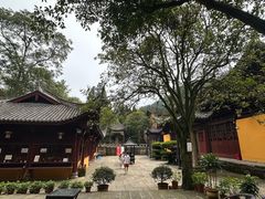 -缙云山景区