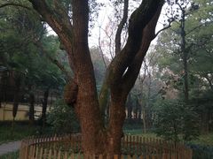 -徐家汇源景区-衡山公园