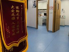-博特宠物医院24h犬猫全科.骨科·异宠