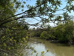 -上海吴淞炮台湾国家湿地公园