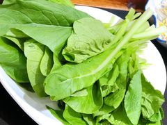 小小白菜-临江门重庆老火锅(德新里店)