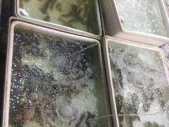 -拉威海鲜市场