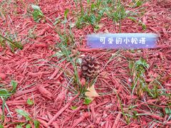 -北京西山国家森林公园